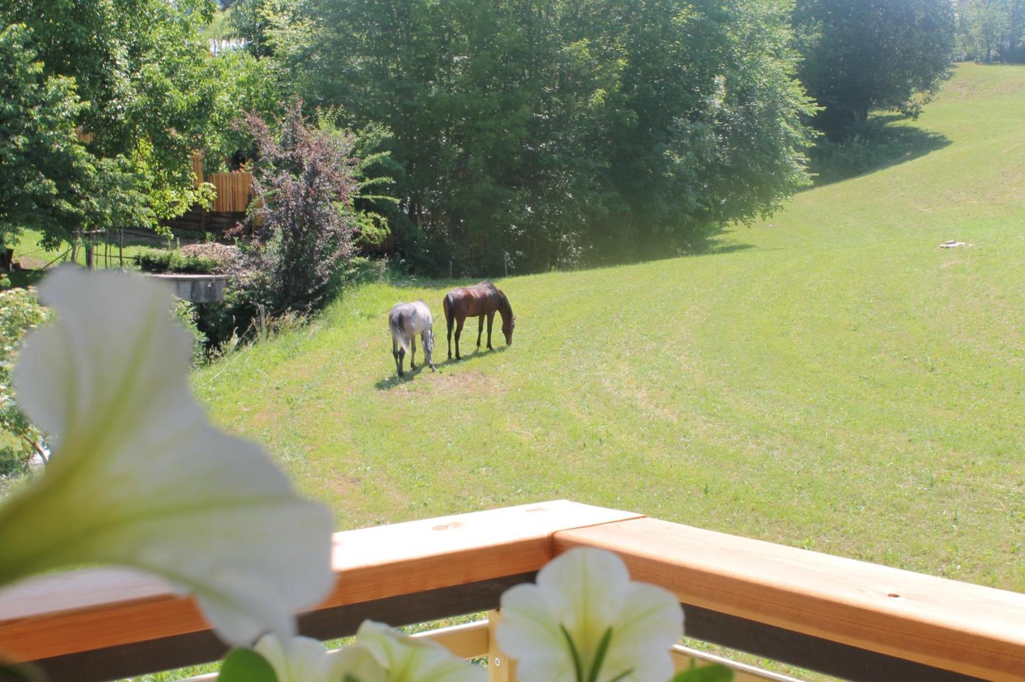 House Gabrijel With Four Seasons Outdoor Kitchen Villa Bled Bagian luar foto